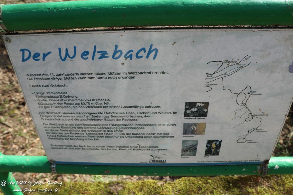 Philosophische Bildwanderung Rheinwanderung von Bingen Kempten nach Ingelheim - Rheinhessen