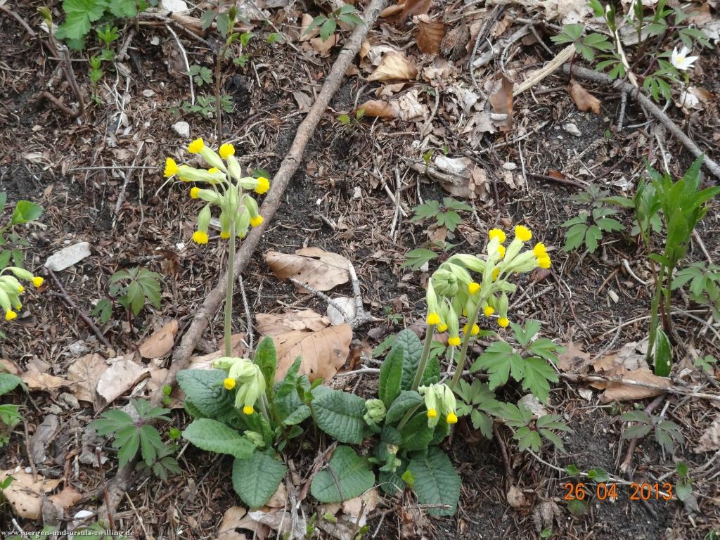 Philosophische Bildwanderung Traufgang Zollernburg-Panorama