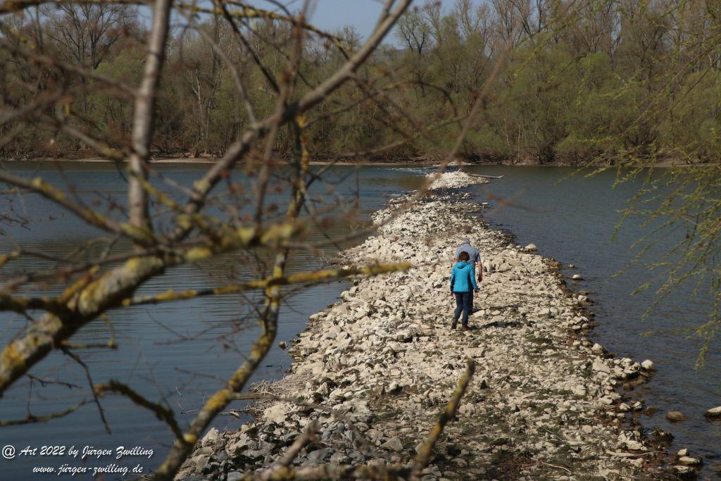 Philosophische Bildwanderung Rheinwanderung von Bingen Kempten nach Ingelheim - Rheinhessen