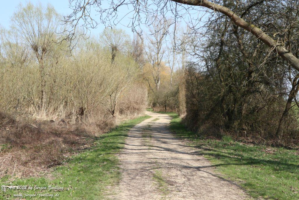 Philosophische Bildwanderung Rheinwanderung von Bingen Kempten nach Ingelheim - Rheinhessen