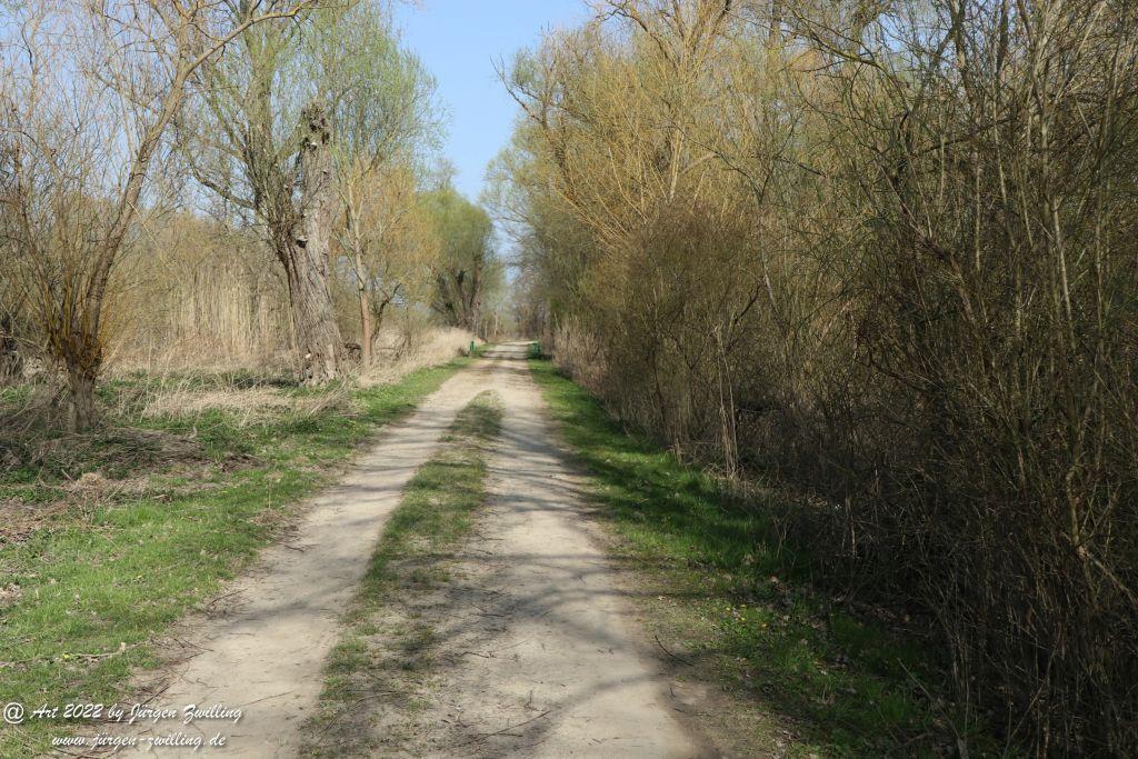 Philosophische Bildwanderung Rheinwanderung von Bingen Kempten nach Ingelheim - Rheinhessen