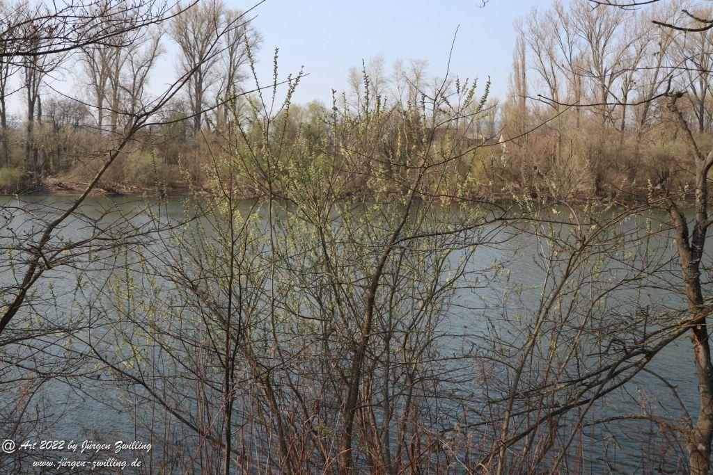 Philosophische Bildwanderung Rheinwanderung von Bingen Kempten nach Ingelheim - Rheinhessen