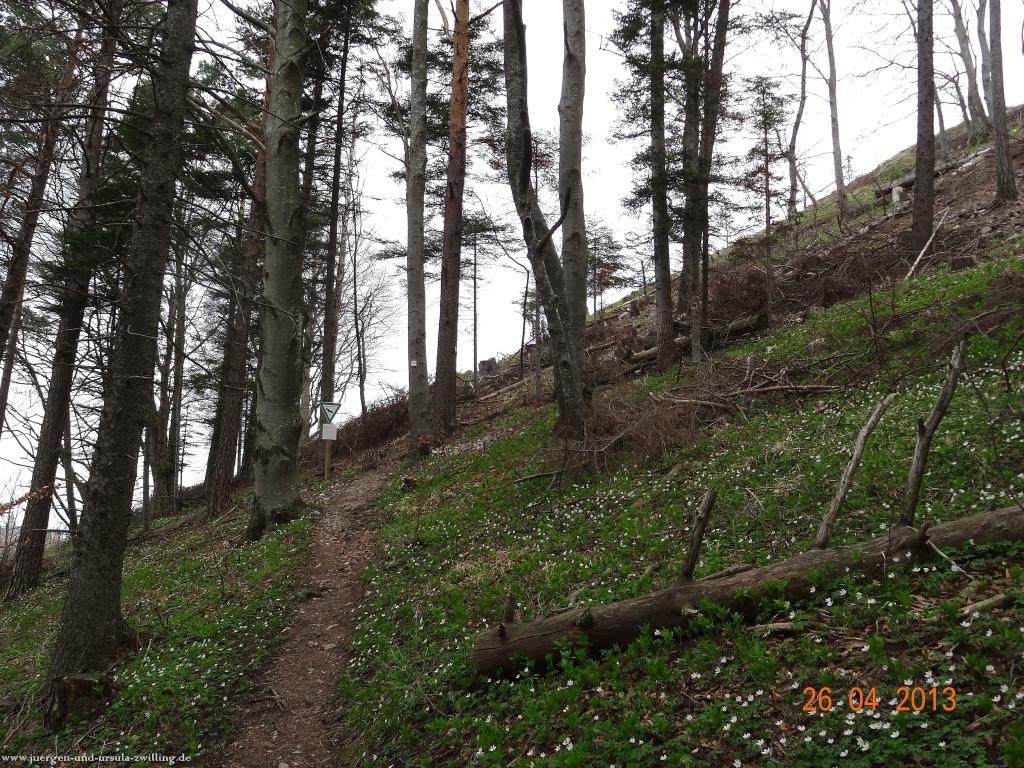 Philosophische Bildwanderung Traufgang Zollernburg-Panorama