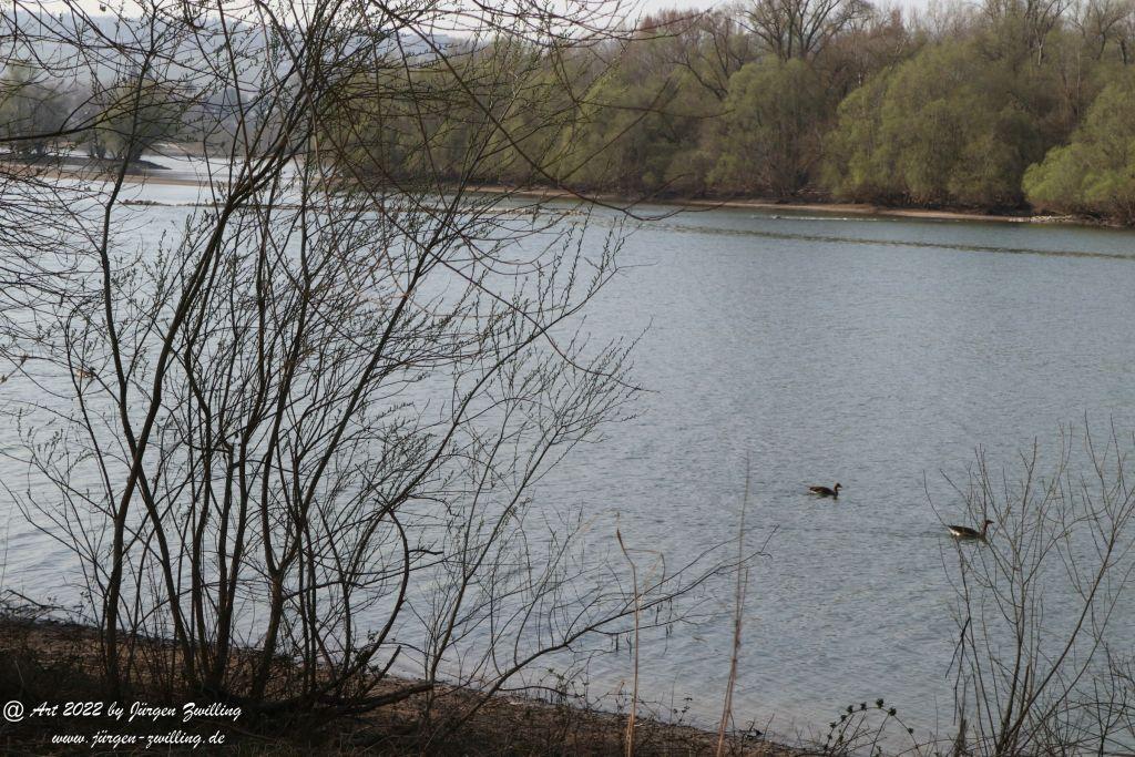 Philosophische Bildwanderung Rheinwanderung von Bingen Kempten nach Ingelheim - Rheinhessen