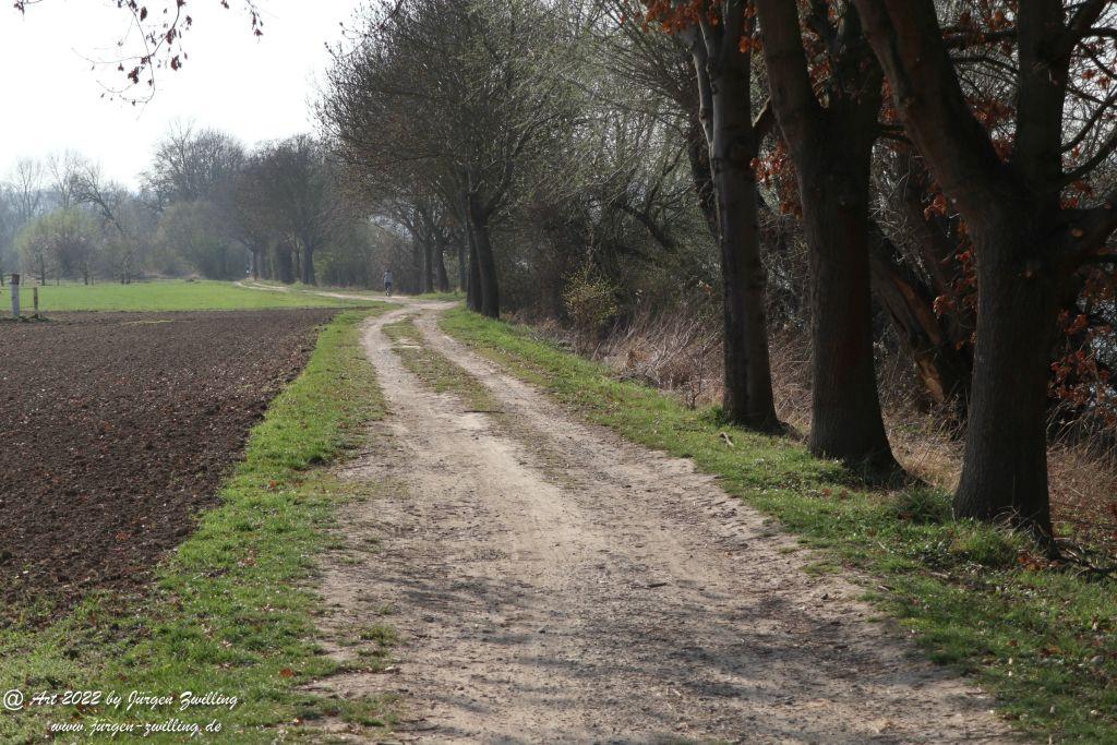 Philosophische Bildwanderung Rheinwanderung von Bingen Kempten nach Ingelheim - Rheinhessen