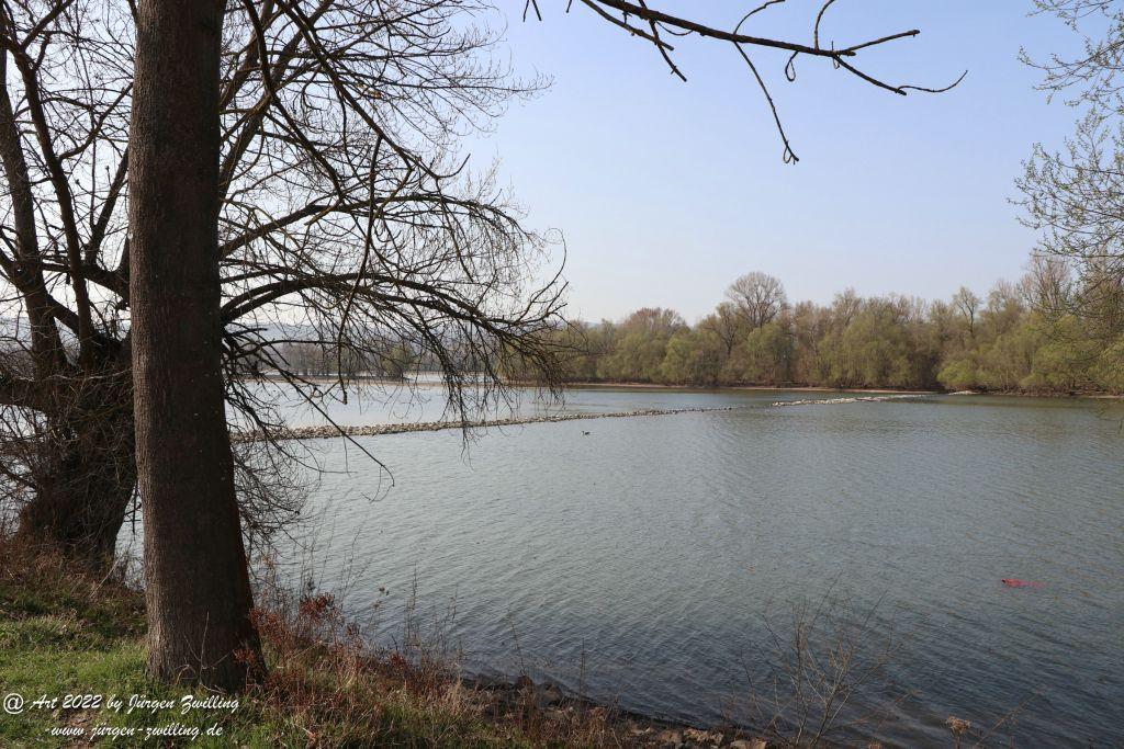 Philosophische Bildwanderung Rheinwanderung von Bingen Kempten nach Ingelheim - Rheinhessen