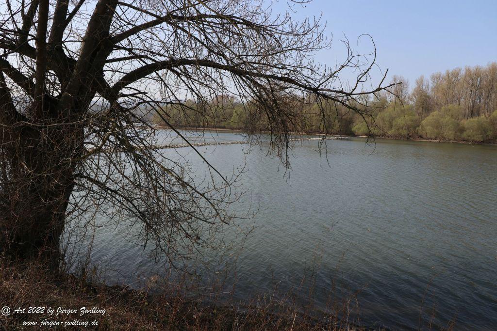 Philosophische Bildwanderung Rheinwanderung von Bingen Kempten nach Ingelheim - Rheinhessen