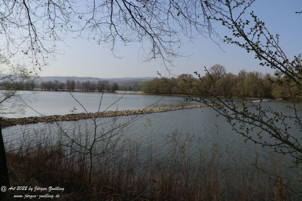 Philosophische Bildwanderung Rheinwanderung von Bingen Kempten nach Ingelheim - Rheinhessen
