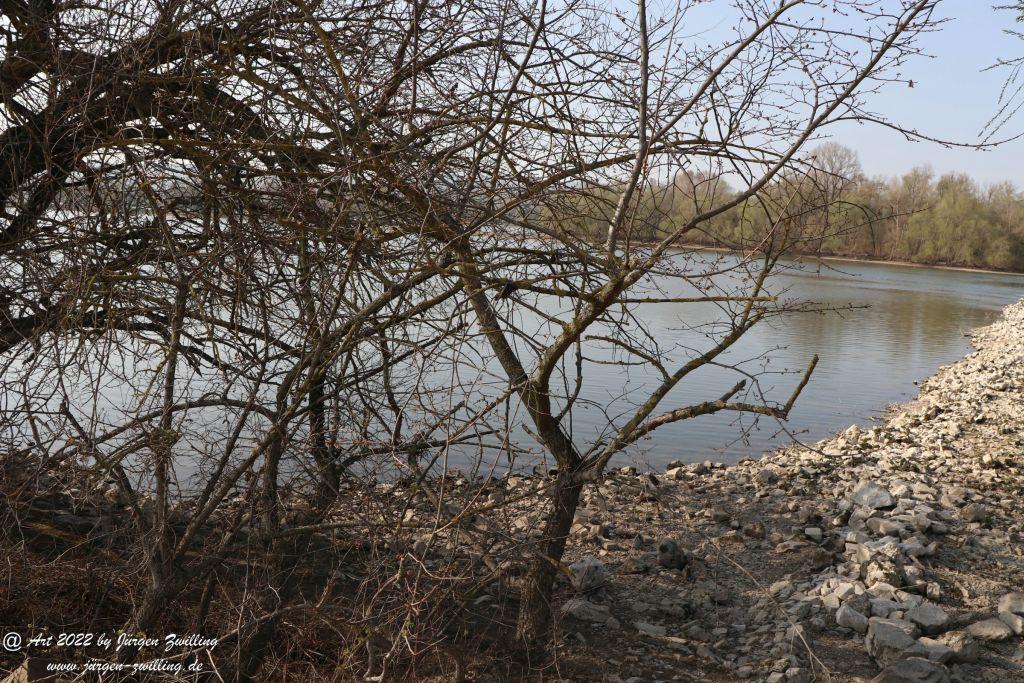 Philosophische Bildwanderung Rheinwanderung von Bingen Kempten nach Ingelheim - Rheinhessen