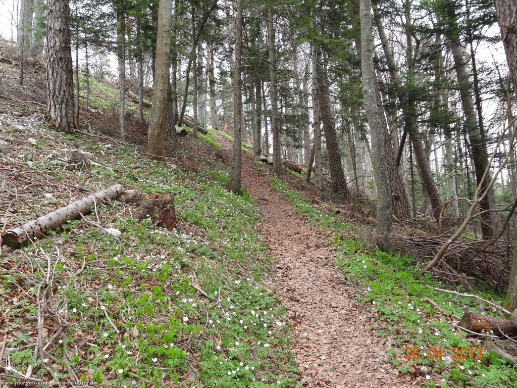 Philosophische Bildwanderung Traufgang Zollernburg-Panorama