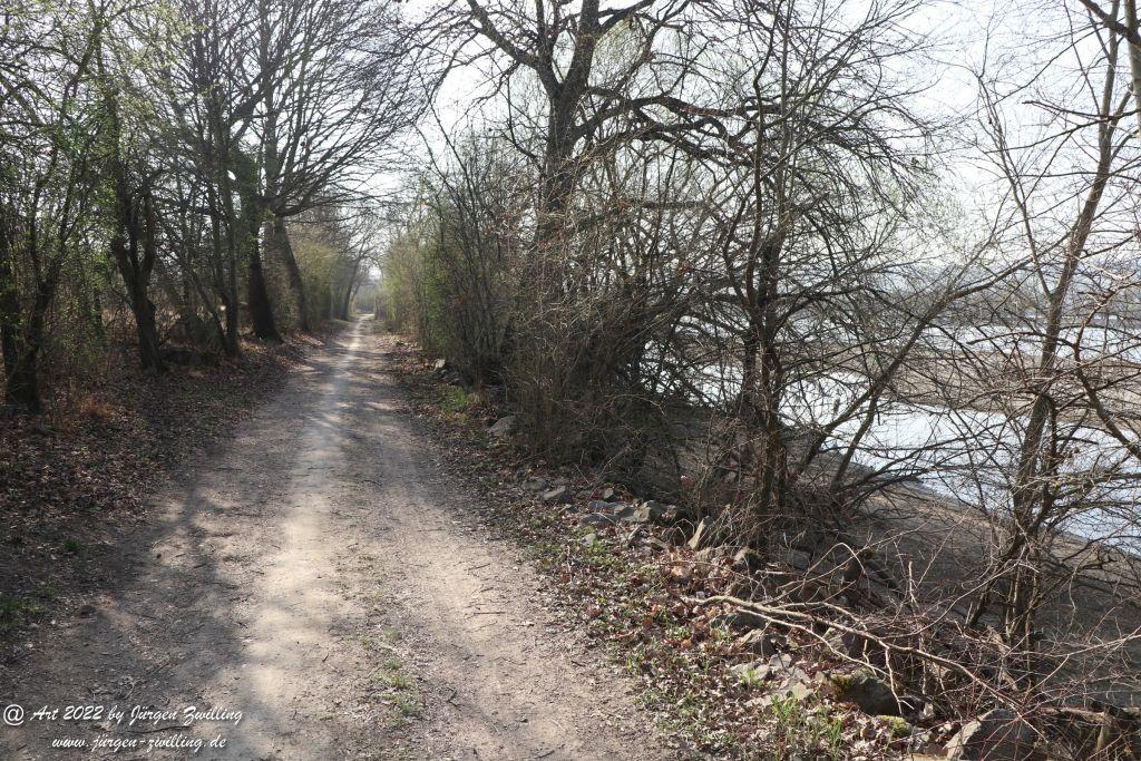 Philosophische Bildwanderung Rheinwanderung von Bingen Kempten nach Ingelheim - Rheinhessen