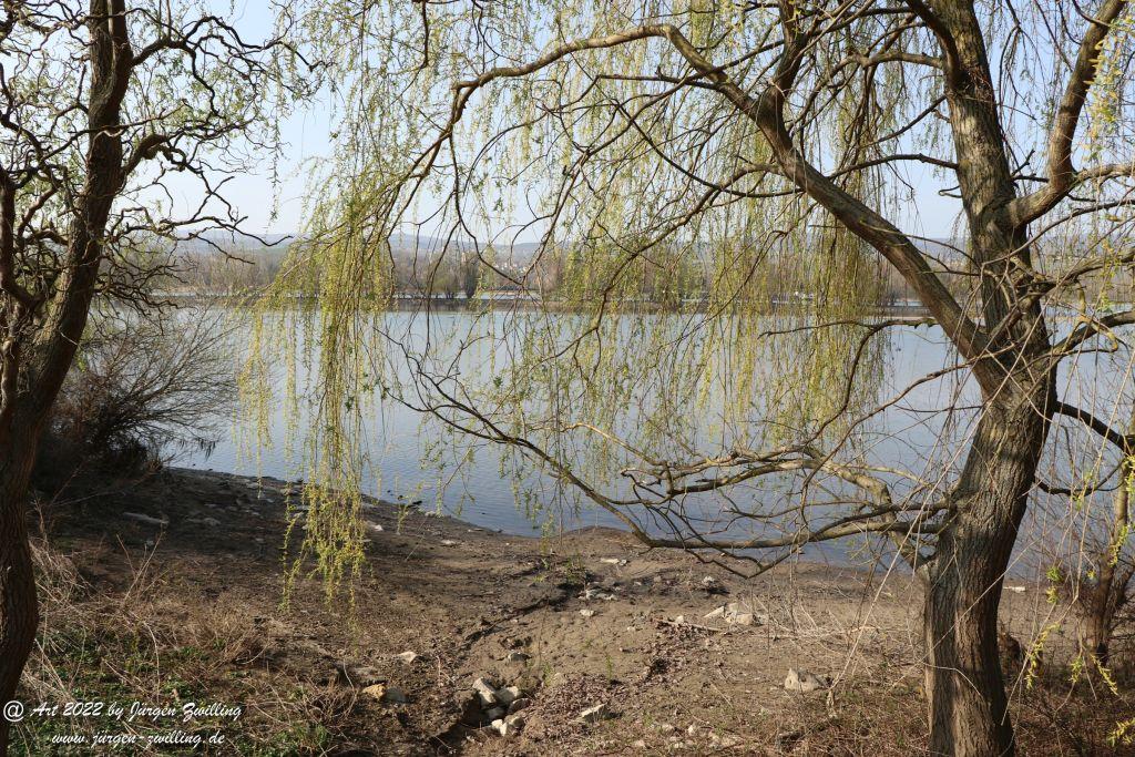 Philosophische Bildwanderung Rheinwanderung von Bingen Kempten nach Ingelheim - Rheinhessen