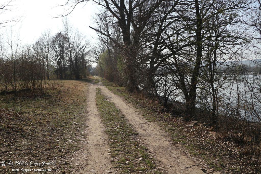 Philosophische Bildwanderung Rheinwanderung von Bingen Kempten nach Ingelheim - Rheinhessen