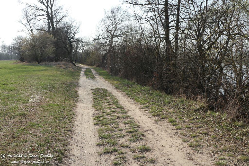 Philosophische Bildwanderung Rheinwanderung von Bingen Kempten nach Ingelheim - Rheinhessen