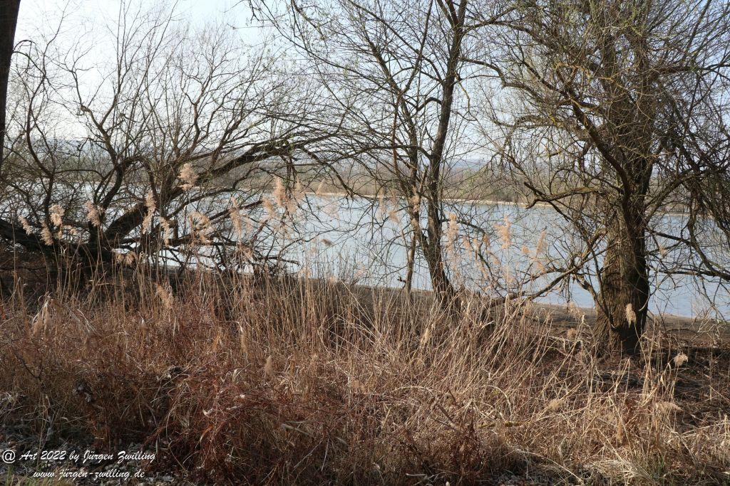 Philosophische Bildwanderung Rheinwanderung von Bingen Kempten nach Ingelheim - Rheinhessen