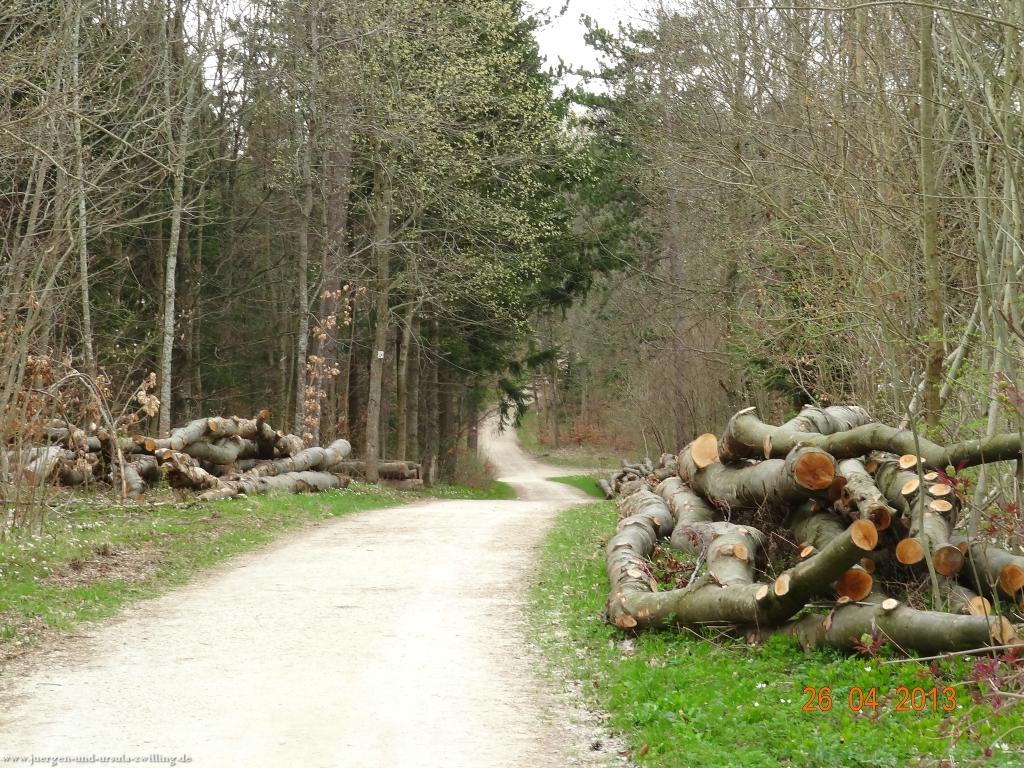 Philosophische Bildwanderung Traufgang Zollernburg-Panorama