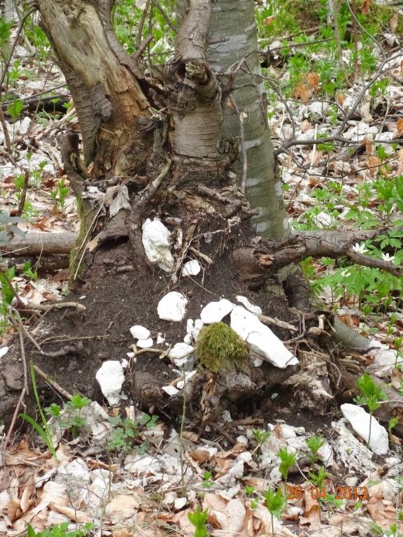Philosophische Bildwanderung Traufgang Zollernburg-Panorama