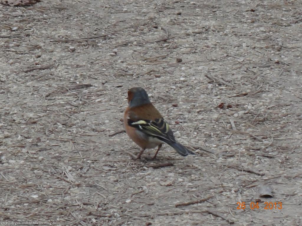 Philosophische Bildwanderung Traufgang Zollernburg-Panorama