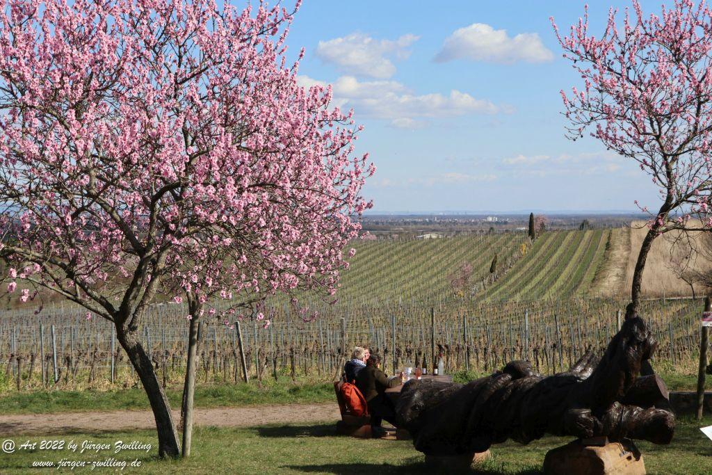 Gimmeldingen - Pfalz