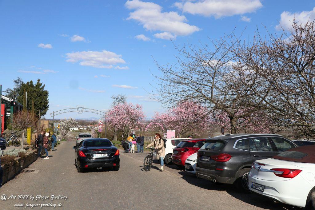 Gimmeldingen - Pfalz