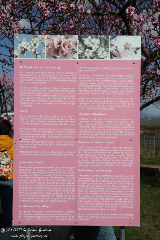 Gimmeldingen - Pfalz