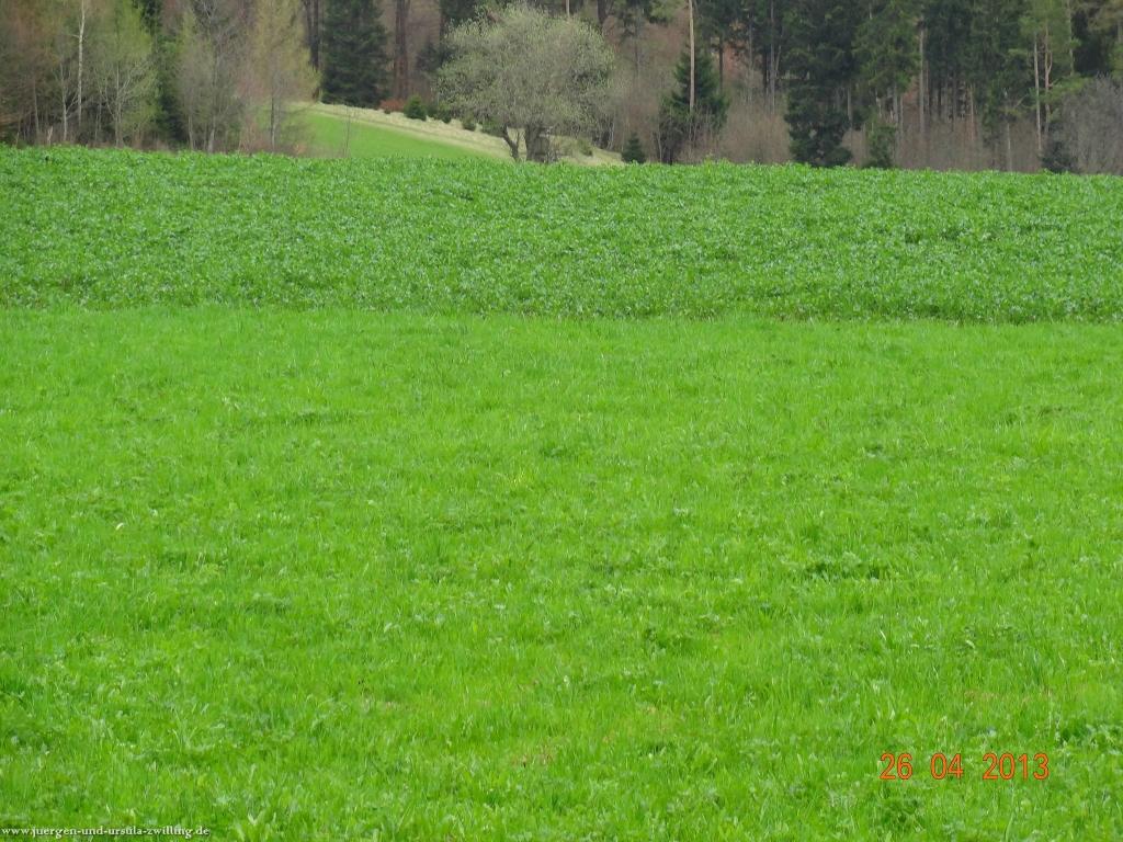 Philosophische Bildwanderung Traufgang Zollernburg-Panorama