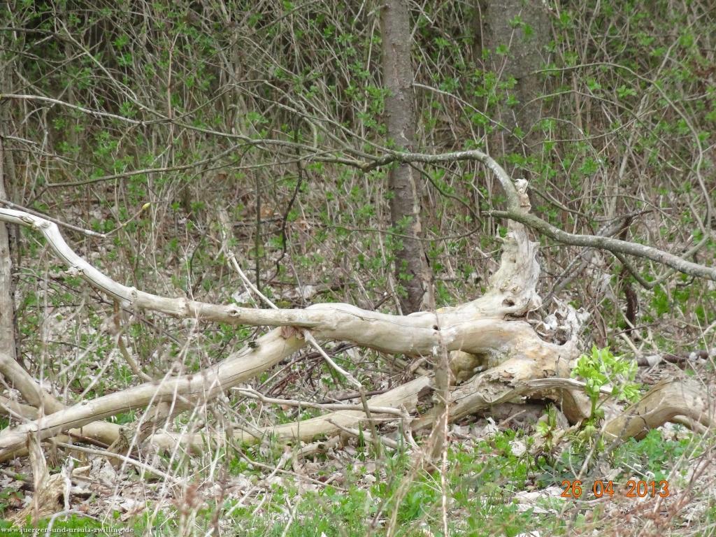 Philosophische Bildwanderung Traufgang Zollernburg-Panorama