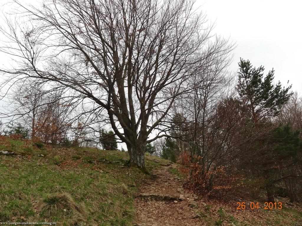 Philosophische Bildwanderung Traufgang Zollernburg-Panorama