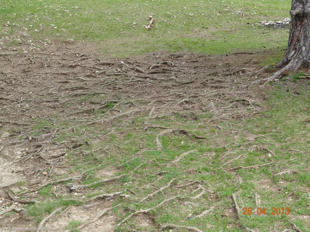 Philosophische Bildwanderung Traufgang Zollernburg-Panorama