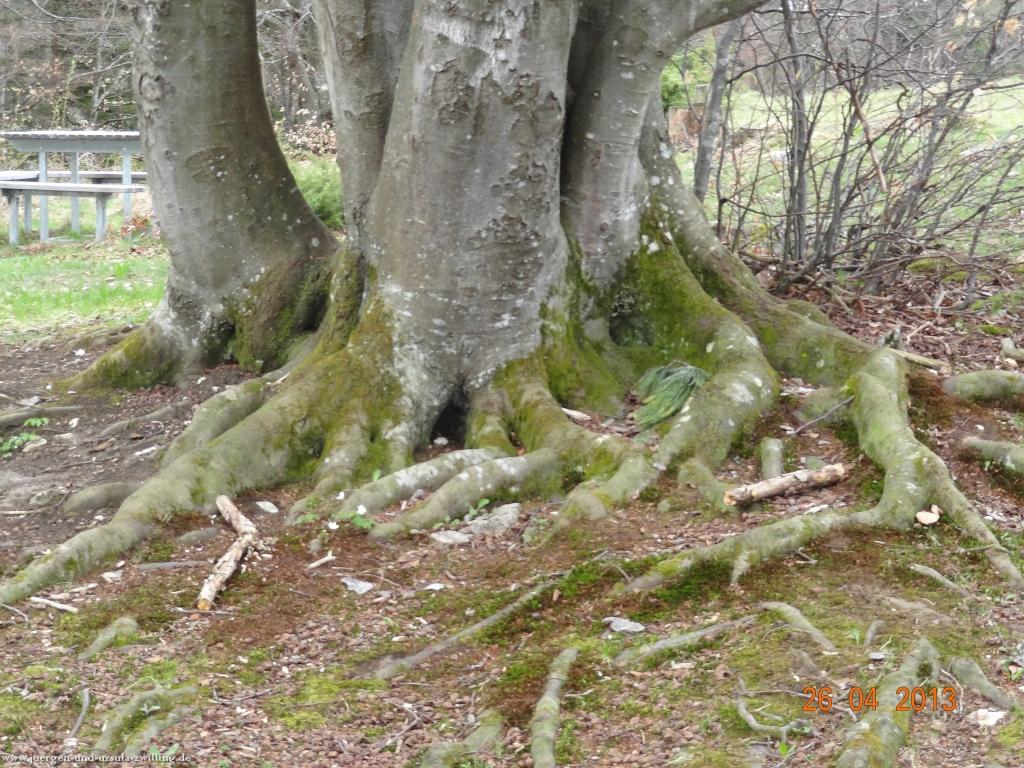 Philosophische Bildwanderung Traufgang Zollernburg-Panorama