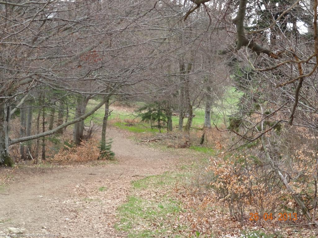 Philosophische Bildwanderung Traufgang Zollernburg-Panorama
