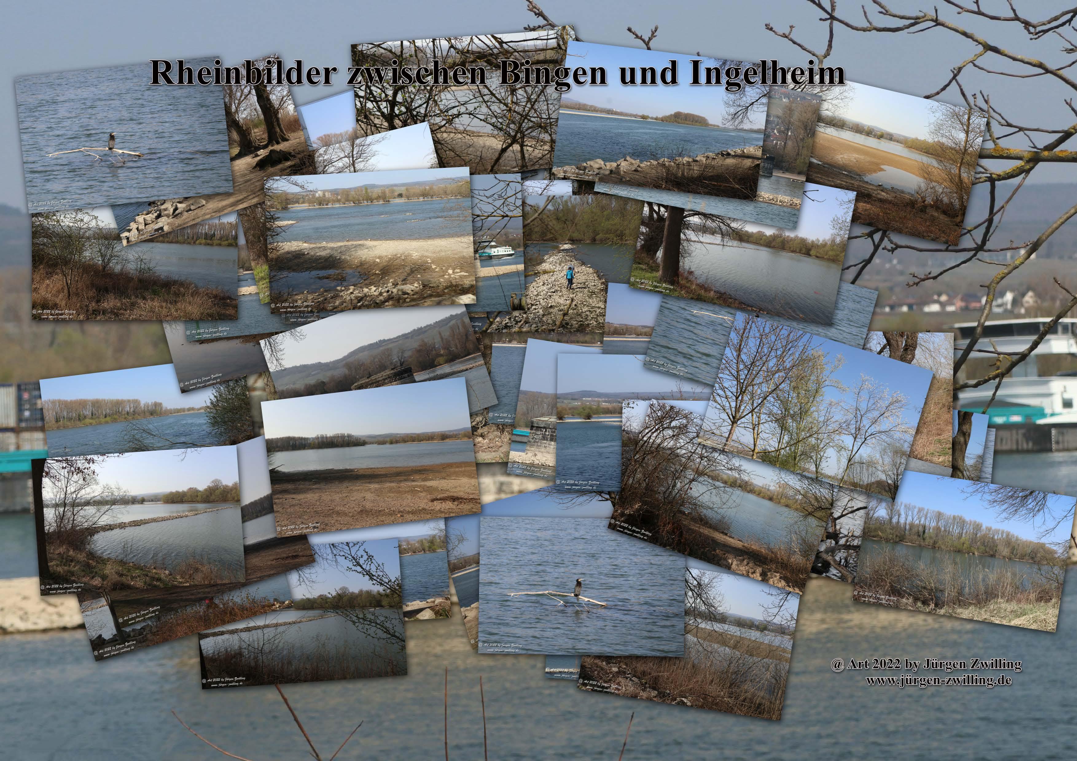 Rheinbilder zwischen Bingen und Ingelheim - Rheinhessen