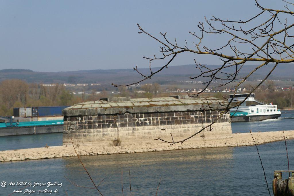 Rheinbilder zwischen Bingen und Ingelheim - Rheinhessen