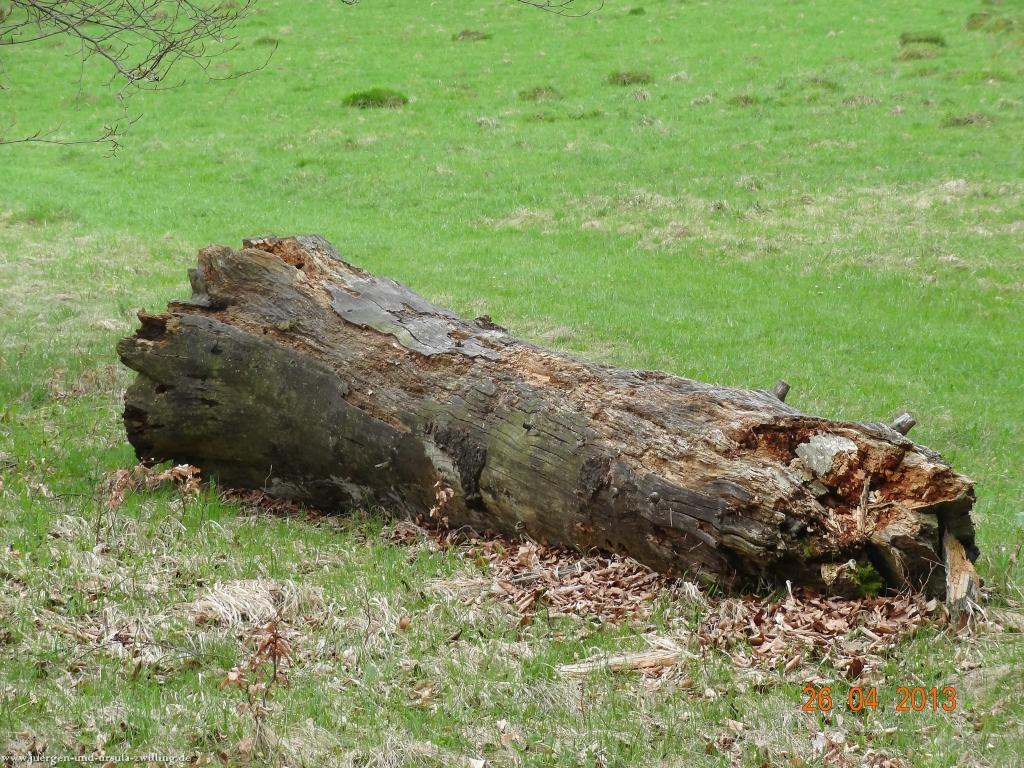 Philosophische Bildwanderung Traufgang Zollernburg-Panorama