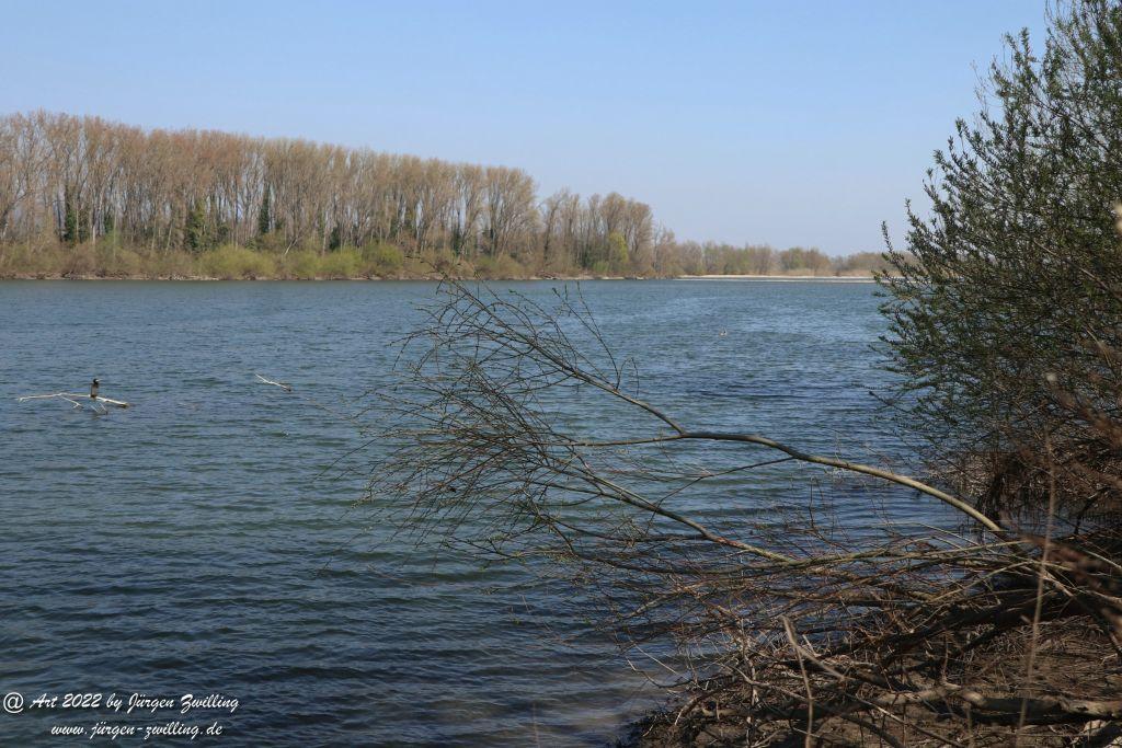 Rheinbilder zwischen Bingen und Ingelheim - Rheinhessen