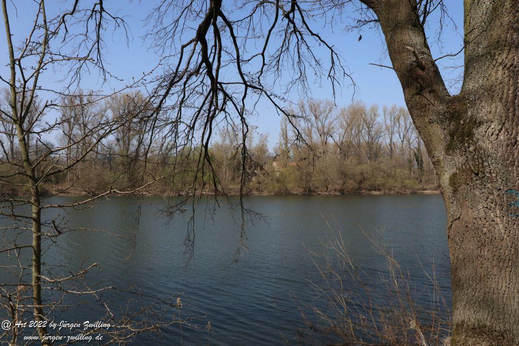 Rheinbilder zwischen Bingen und Ingelheim - Rheinhessen