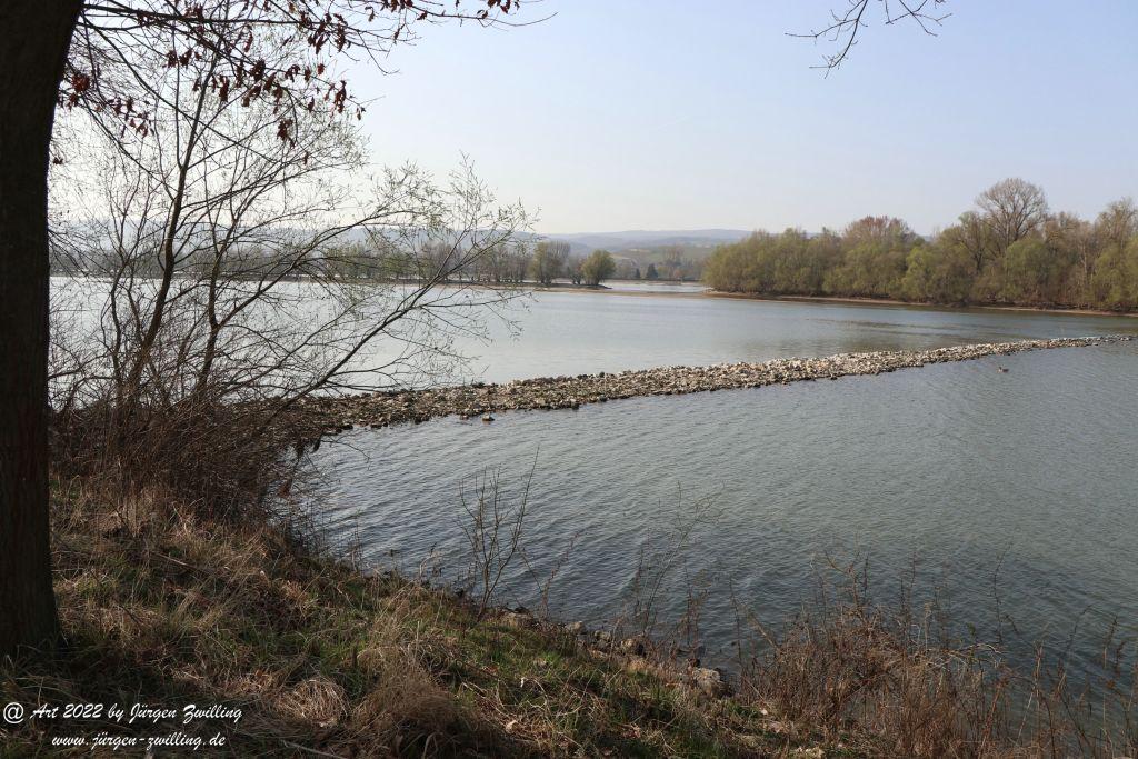 Rheinbilder zwischen Bingen und Ingelheim - Rheinhessen