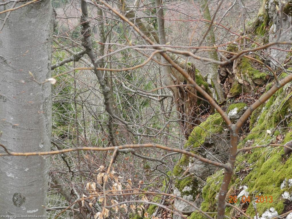Philosophische Bildwanderung Traufgang Zollernburg-Panorama