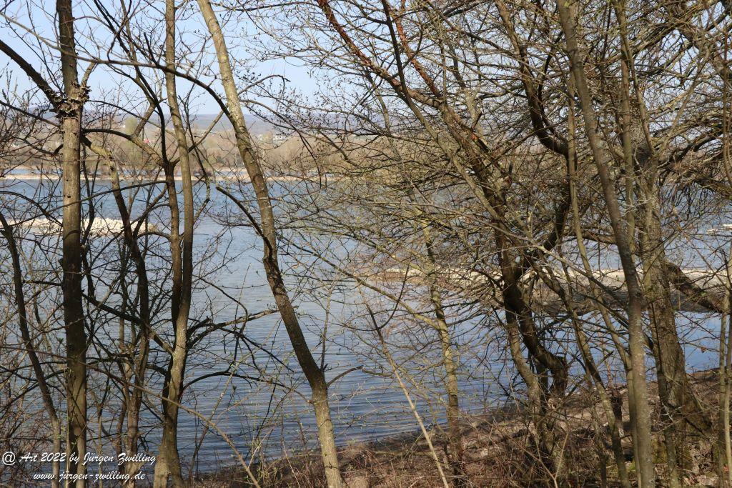 Rheinholz - Bingen - Rheinhessen