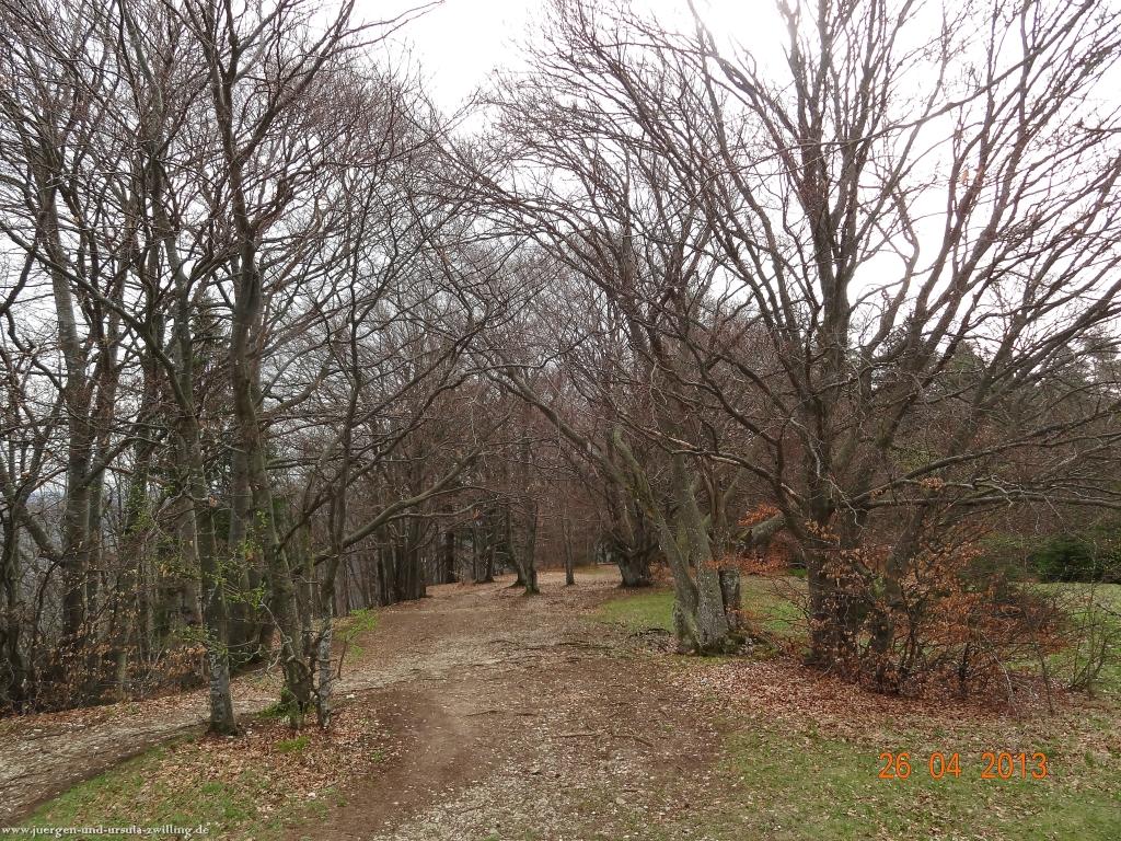 Philosophische Bildwanderung Traufgang  Zollernburg-Panorama