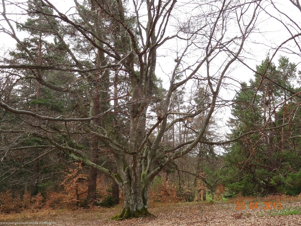 Philosophische Bildwanderung Traufgang Zollernburg-Panorama