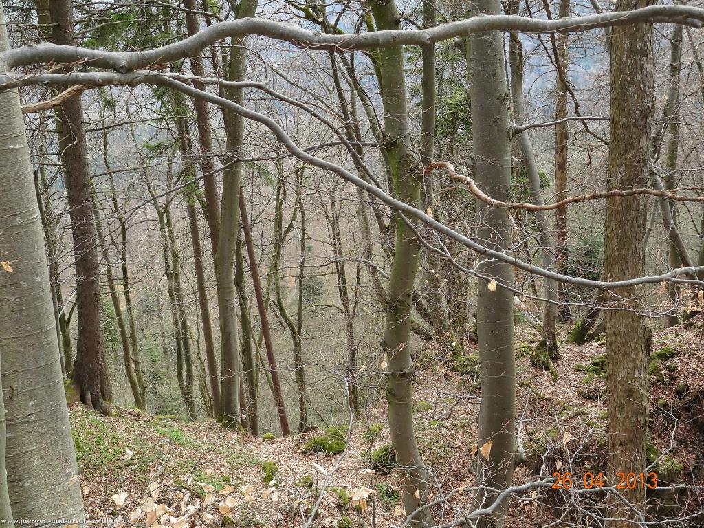 Philosophische Bildwanderung Traufgang Zollernburg-Panorama