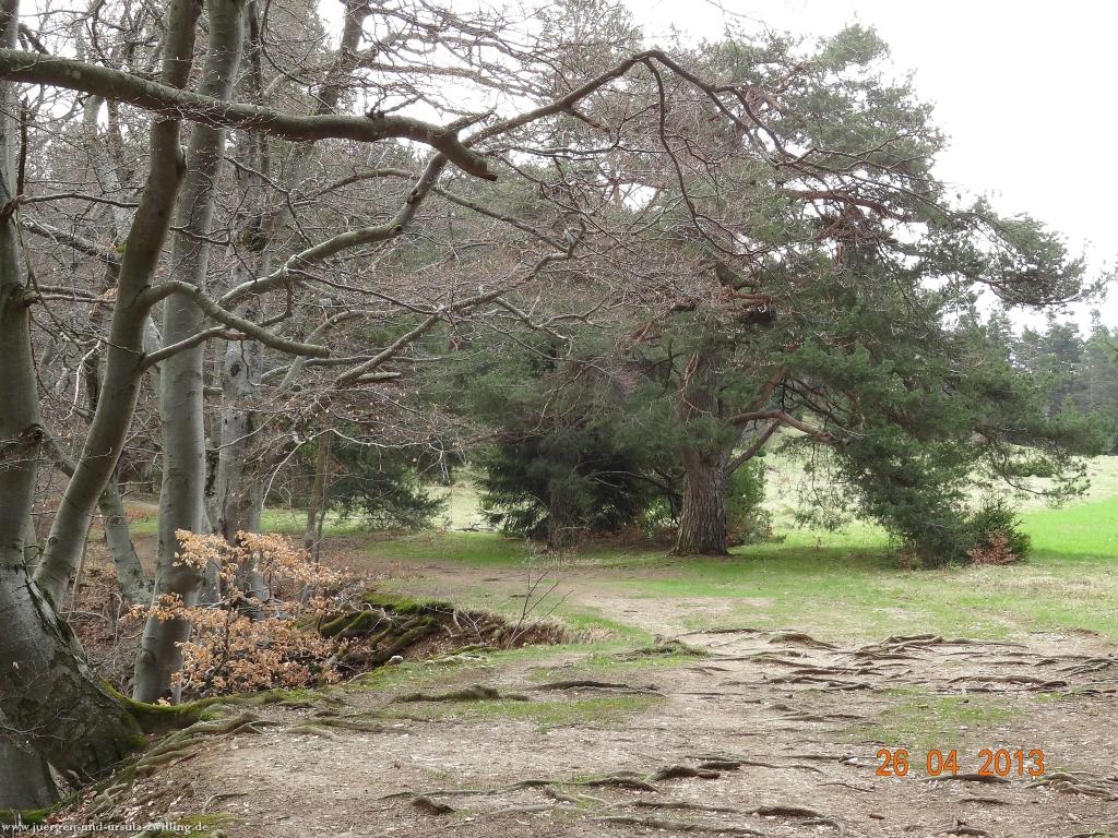 Philosophische Bildwanderung Traufgang Zollernburg-Panorama