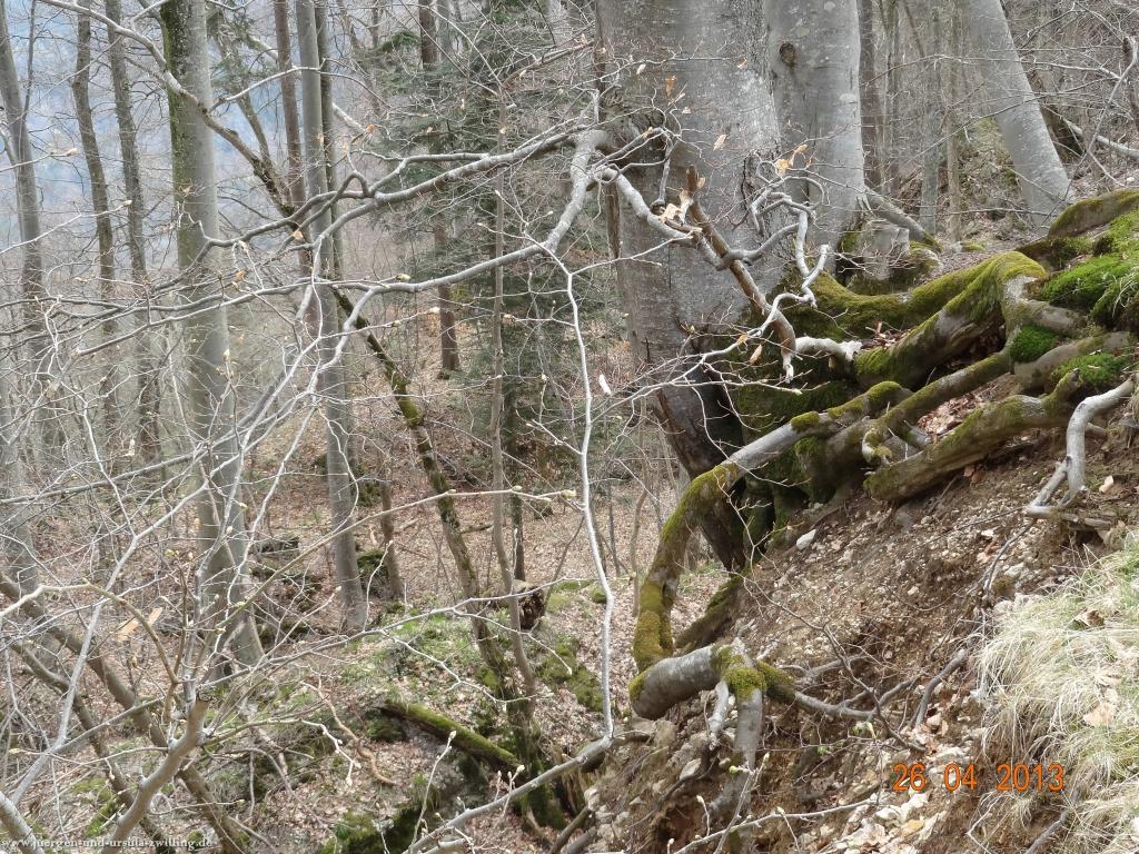 Philosophische Bildwanderung Traufgang Zollernburg-Panorama