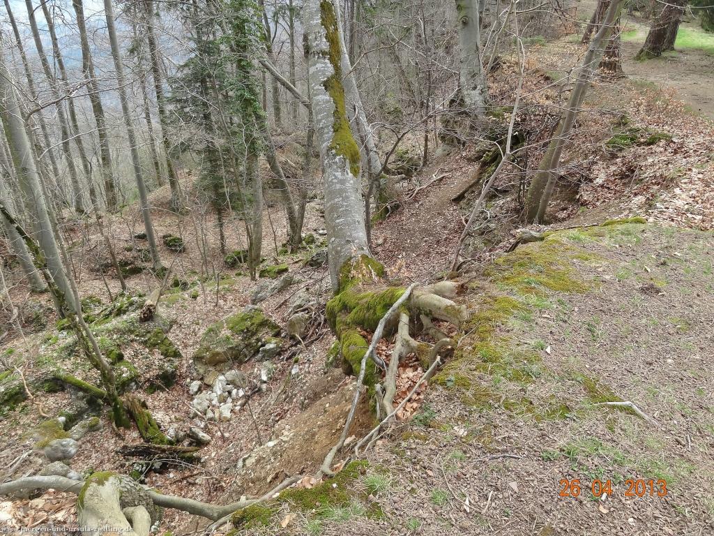 Philosophische Bildwanderung Traufgang Zollernburg-Panorama