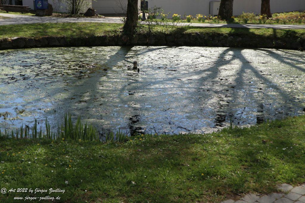 Kißlegg - Baden-Württemberg im Westallgäu