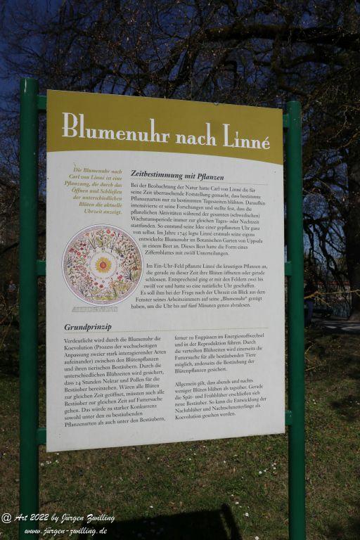 Insel Mainau - Bodensee - Baden-Württemberg
