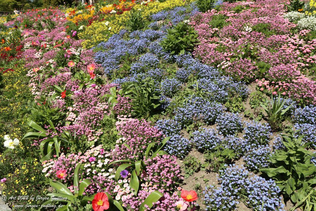 Insel Mainau - Bodensee - Baden-Württemberg