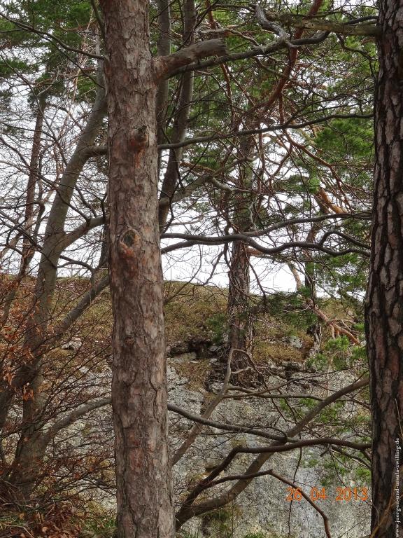 Philosophische Bildwanderung Traufgang Zollernburg-Panorama