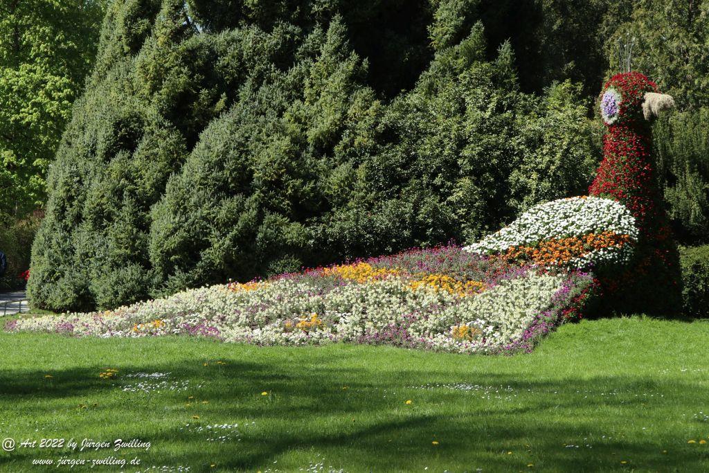 Insel Mainau - Bodensee - Baden-Württemberg